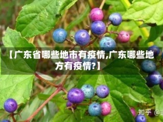 【广东省哪些地市有疫情,广东哪些地方有疫情?】