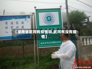 【湖南省武冈有疫情吗,武冈有没有疫情】