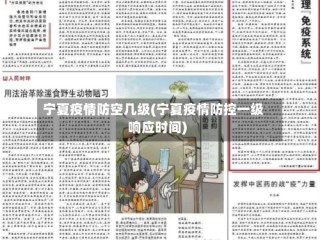 宁夏疫情防空几级(宁夏疫情防控一级响应时间)
