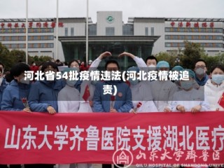 河北省54批疫情违法(河北疫情被追责)