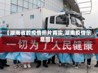 【湖南省的疫情照片真实,湖南疫情示意图】