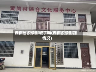 湖南省疫情封城了吗(湖南疫情封路情况)