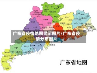 广东省疫情地图显示图片/广东省疫情分布图片