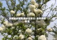 湖南省疫情期间法定假日/湖南疫情放假