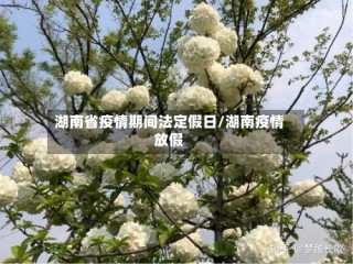湖南省疫情期间法定假日/湖南疫情放假