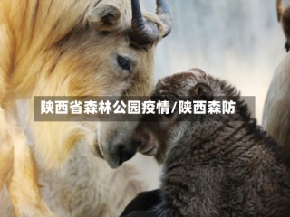 陕西省森林公园疫情/陕西森防