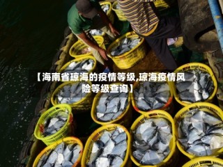 【海南省琼海的疫情等级,琼海疫情风险等级查询】