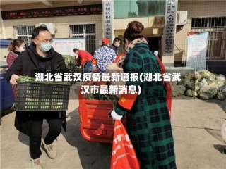 湖北省武汉疫情最新通报(湖北省武汉市最新消息)