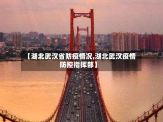 【湖北武汉省防疫情况,湖北武汉疫情防控指挥部】