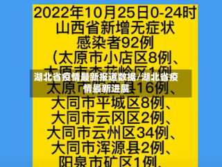 湖北省疫情最新报道数据/湖北省疫情最新进展