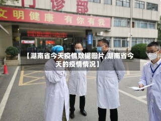 【湖南省今天疫情数据图片,湖南省今天的疫情情况】
