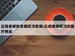 云南省邮政支援武汉疫情/云南驰援武汉的医疗物资