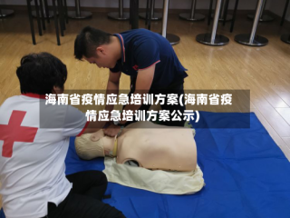 海南省疫情应急培训方案(海南省疫情应急培训方案公示)