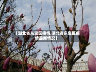 【湖北省东宝区疫情,湖北省东宝区疫情最新情况】