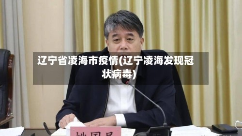 辽宁省凌海市疫情(辽宁凌海发现冠状病毒)