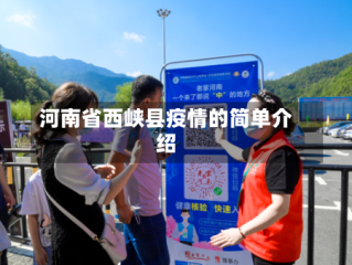 河南省西峡县疫情的简单介绍