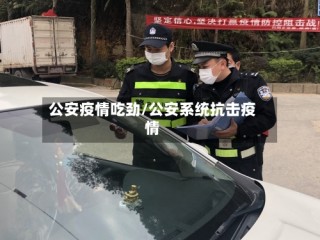 公安疫情吃劲/公安系统抗击疫情