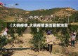 【大姚疫情,大姚疫情龙街最新消息】