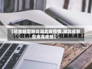 【抗击新型肺炎湖北省疫情,湖北省新冠病毒疫情】
