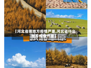 【河北省哪地方疫情严重,河北省什么地方疫情严重】