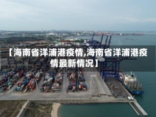 【海南省洋浦港疫情,海南省洋浦港疫情最新情况】