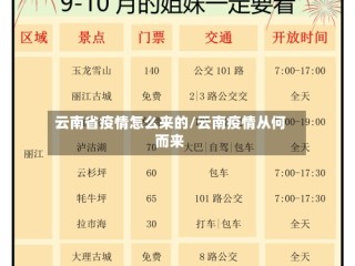云南省疫情怎么来的/云南疫情从何而来