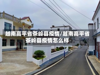 越南高平省茶岭县疫情/越南高平省茶岭县疫情怎么样