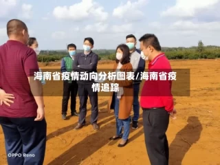 海南省疫情动向分析图表/海南省疫情追踪
