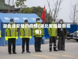 湖北省安陆的疫情(湖北安陆最新疫情)