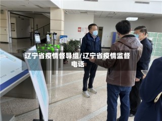 辽宁省疫情督导组/辽宁省疫情监督电话