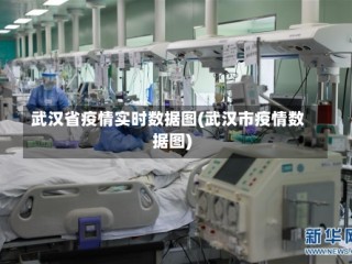 武汉省疫情实时数据图(武汉市疫情数据图)