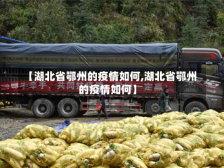 【湖北省鄂州的疫情如何,湖北省鄂州的疫情如何】