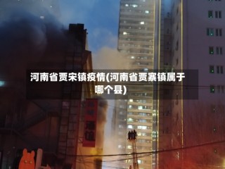 河南省贾宋镇疫情(河南省贾寨镇属于哪个县)