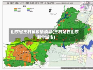 山东省王村镇疫情消息(王村站在山东哪个城市)
