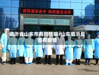 临沂省山东市有疫情嘛/山东临沂是否有疫情