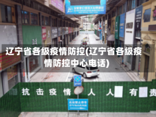 辽宁省各级疫情防控(辽宁省各级疫情防控中心电话)
