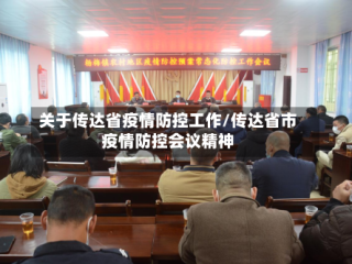关于传达省疫情防控工作/传达省市疫情防控会议精神