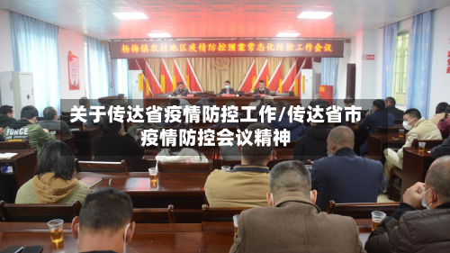 关于传达省疫情防控工作/传达省市疫情防控会议精神