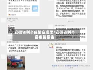 安徽省利辛疫情在哪里/安徽省利辛县疫情报告