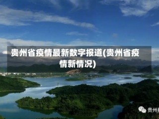 贵州省疫情最新数字报道(贵州省疫情新情况)