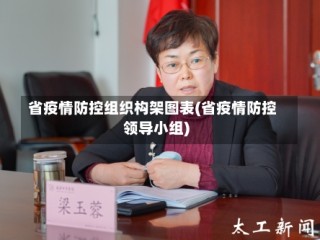 省疫情防控组织构架图表(省疫情防控领导小组)