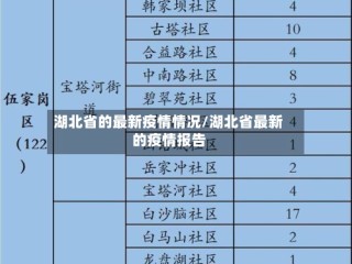 湖北省的最新疫情情况/湖北省最新的疫情报告