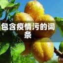 包含疫情污的词条