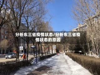 分析东三省疫情状态/分析东三省疫情状态的原因
