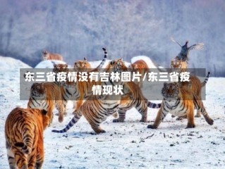 东三省疫情没有吉林图片/东三省疫情现状
