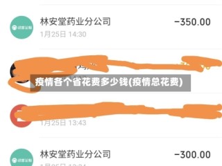 疫情各个省花费多少钱(疫情总花费)