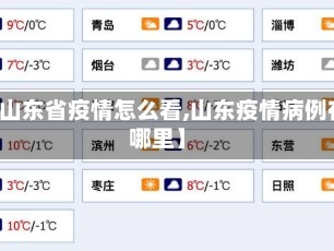 【山东省疫情怎么看,山东疫情病例在哪里】