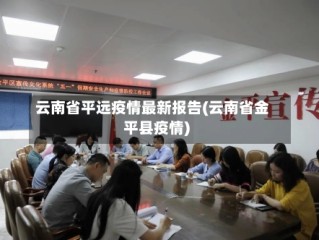 云南省平远疫情最新报告(云南省金平县疫情)