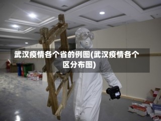 武汉疫情各个省的例图(武汉疫情各个区分布图)