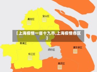 【上海疫情一省十九市,上海疫情各区】